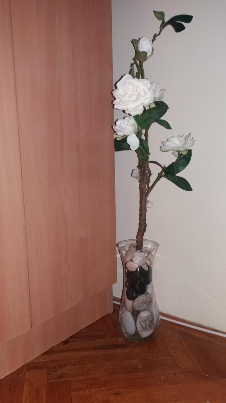 Sweet Home Center Apartment Novi Sad Dış mekan fotoğraf